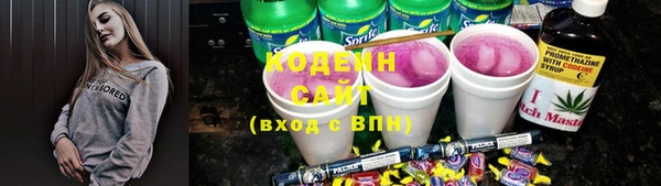 прущая мука Корсаков