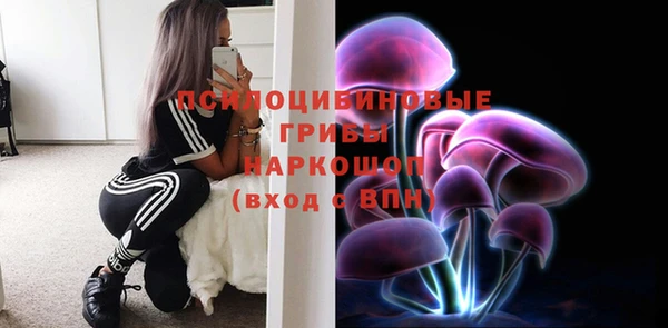 прущая мука Корсаков