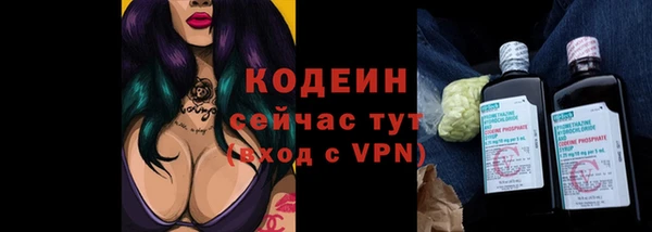 прущая мука Корсаков