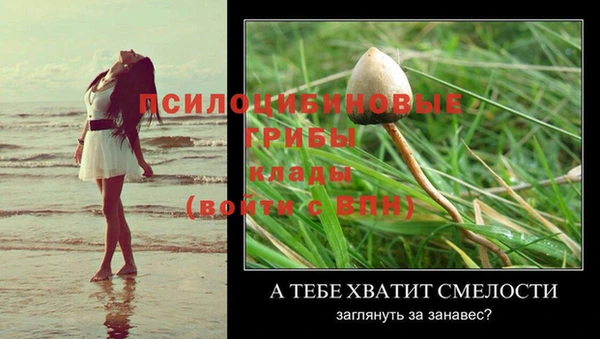 СК Костерёво