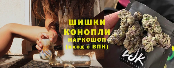 прущая мука Корсаков