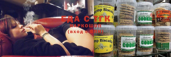стафф Коряжма