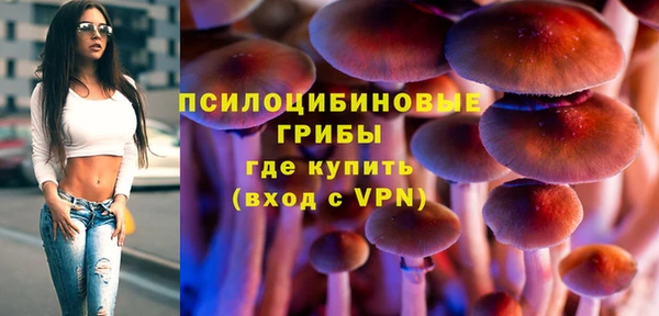 прущая мука Корсаков