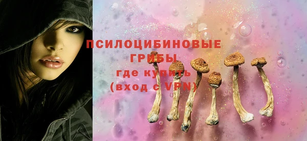 стафф Коряжма